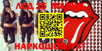 шишки Можга