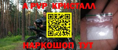 шишки Можга