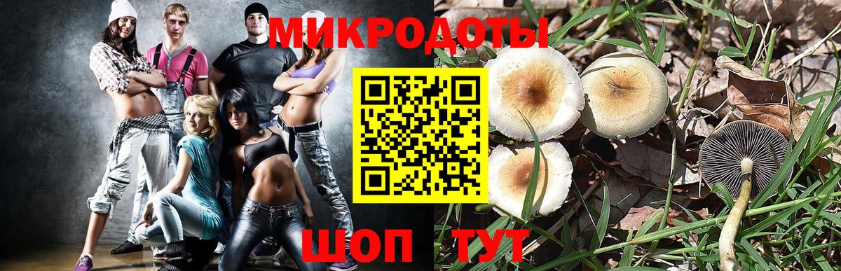 Усть-Джегута  Псилоцибиновые грибы мухоморы  Галлюциногенные грибы Magic Shrooms  Вход с VPN 