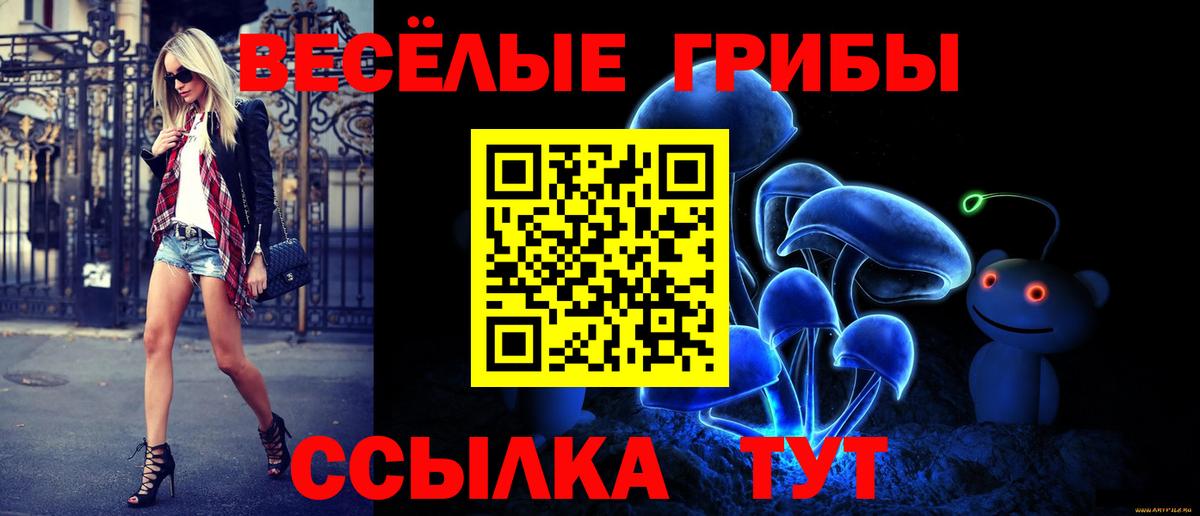 Псилоцибиновые грибы мицелий Усть-Джегута